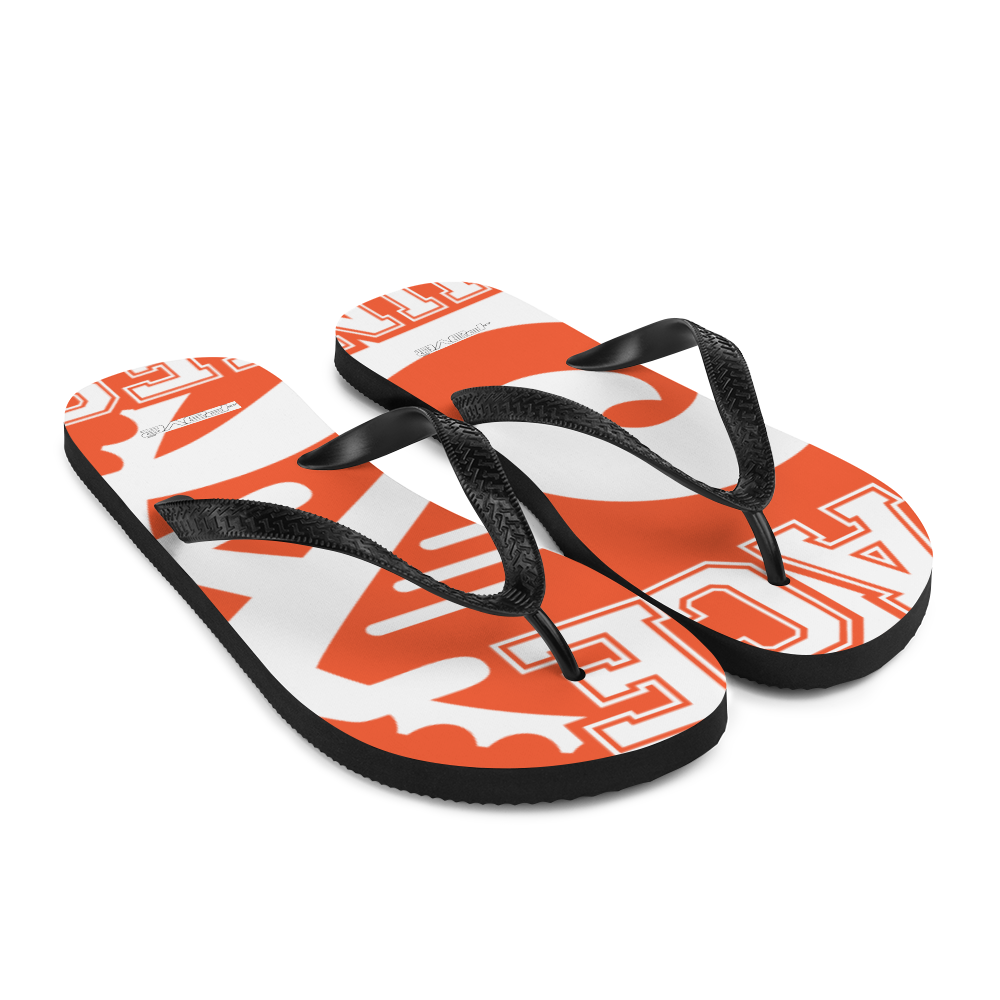 Flip-Flops