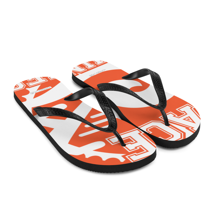 Flip-Flops